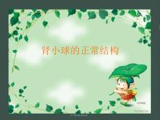 肾小球肾炎 （4）