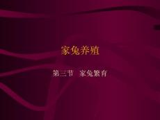 3家兔繁育