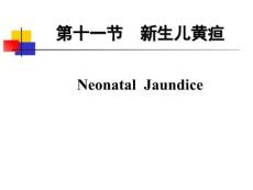 黄疸、败血症