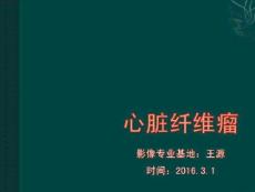 心脏纤维瘤病