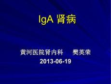 《iga肾病ywl》ppt课件