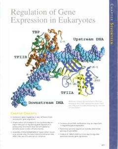 Concepts of Genetics (8th Edition)_Chapter 17