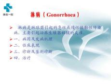 包皮龟头炎课件