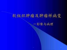 软组织肿瘤及肿瘤样病PPT课件