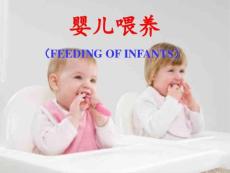 婴儿喂养 PPT课件