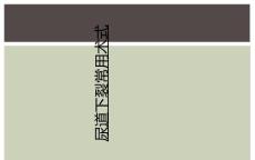 尿道下裂常用术式
