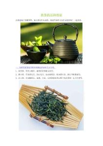 [应用文书]黄茶的品种特征