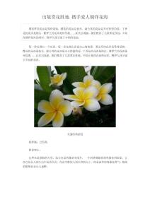 春季出境旅游：赏花胜地 携手爱人徜徉花海