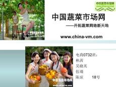 中国蔬菜市场网