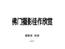 佛门摄影佳作欣赏