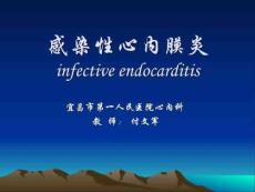 感染性心内膜炎讲课