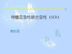 脊髓亚急性联合变性