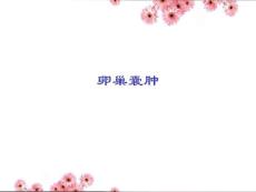 卵巢囊肿培训课件
