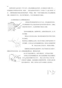 昏迷急救措施