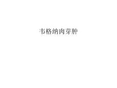 韦格纳肉芽肿教程文件