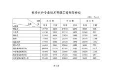 "長沙市分專業技術等級工資指導價位"