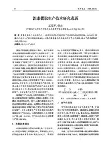 溴素提取生產技術研究進展