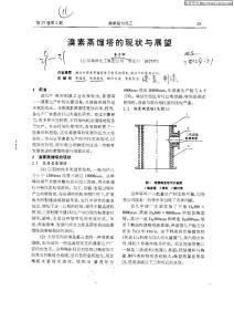 溴素蒸餾塔的現狀與展望