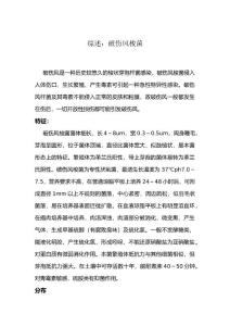 综述——破伤风