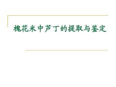 槐花米中蘆丁的提取與鑒定