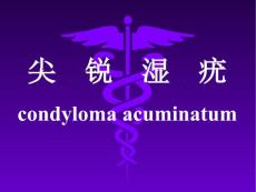 尖锐湿疣condylomaacuminatum课件