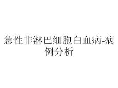 急性非淋巴细胞白血病-病例分析