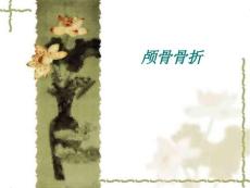 颅骨骨折演示稿课件