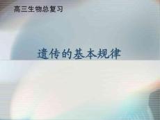 高三生物總復(fù)習(xí)---遺傳的基本規(guī)律