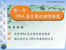 苏教版八上15.1DNA是主要的遗传物质