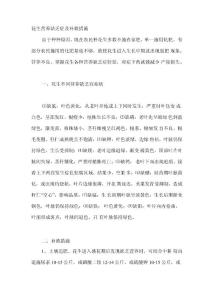 花生营养缺乏症及补救措施