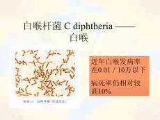 白喉杆菌Cdiphtheria白喉课件