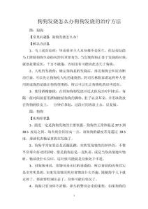 狗狗发烧怎么办狗狗发烧的治疗方法