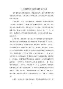 马铃薯黑痣病综合防治技术