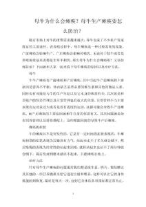 母牛为什么会瘫痪？母牛生产瘫痪要怎么防治？