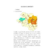 重庆大足区龙水镇项目市调报告