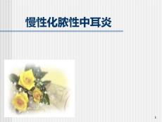 慢性化脓性中耳炎课件