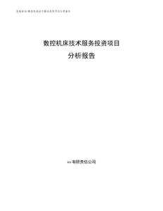 数控机床技术服务投资项目分析报告_模板范本