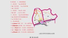 预激综合征学习