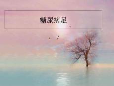 《糖尿病足》课件