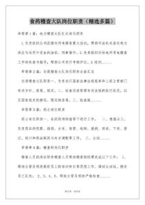 食药稽查大队岗位职责（精选多篇）