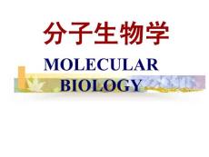分子生物学2005-1