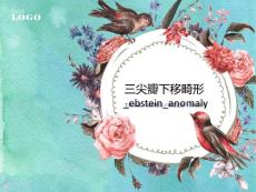 三尖瓣下移畸形_ebstein_anomaly课件