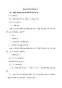 输尿管结石临床路径