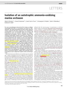 Isolation of an autotrophic ammonia-oxidizing