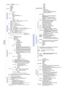 注安師思維導(dǎo)圖（技術(shù)、管理）