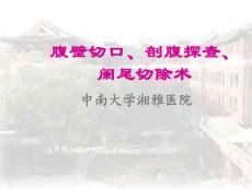 外科手術腹壁切口