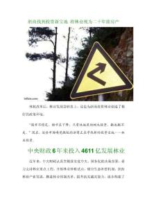 浙商找到投资新宝地 将林业视为二十年前房产