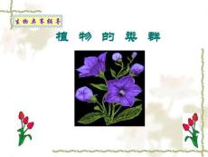 植物類群(簡明,配題)