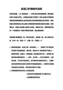 尿道口护理操作流程(8)