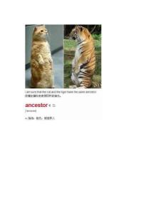 看图背单词（01）